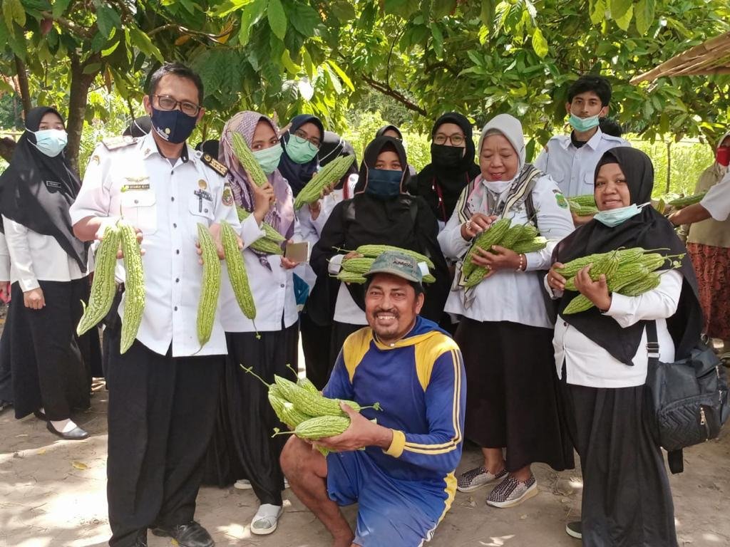 Hasil panen beberapa komoditi